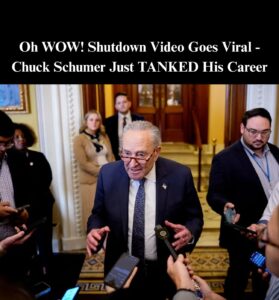 Schumer Ridiculed After Dismissing Shutdown Poll Showing Dems To Blame